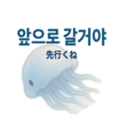 かわいいクラゲの日常使える韓国語スタンプ（個別スタンプ：23）