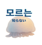 かわいいクラゲの日常使える韓国語スタンプ（個別スタンプ：24）