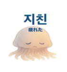かわいいクラゲの日常使える韓国語スタンプ（個別スタンプ：30）