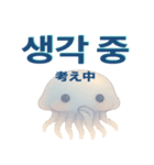かわいいクラゲの日常使える韓国語スタンプ（個別スタンプ：33）