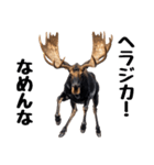 へらへらヘラジカの日常（個別スタンプ：1）