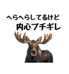 へらへらヘラジカの日常（個別スタンプ：2）