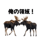 へらへらヘラジカの日常（個別スタンプ：3）