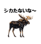 へらへらヘラジカの日常（個別スタンプ：4）