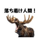 へらへらヘラジカの日常（個別スタンプ：5）