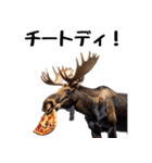 へらへらヘラジカの日常（個別スタンプ：14）