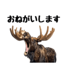 へらへらヘラジカの日常（個別スタンプ：17）