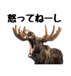 へらへらヘラジカの日常（個別スタンプ：20）