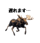 へらへらヘラジカの日常（個別スタンプ：28）