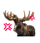 へらへらヘラジカの日常（個別スタンプ：31）