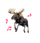 へらへらヘラジカの日常（個別スタンプ：33）