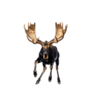 へらへらヘラジカの日常（個別スタンプ：38）