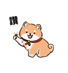しばまるまる-あかしばのにちじょう（個別スタンプ：1）