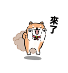 しばまるまる-あかしばのにちじょう（個別スタンプ：6）