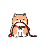 しばまるまる-あかしばのにちじょう（個別スタンプ：10）