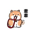 しばまるまる-あかしばのにちじょう（個別スタンプ：11）