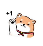 しばまるまる-あかしばのにちじょう（個別スタンプ：16）