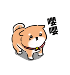 しばまるまる-あかしばのにちじょう（個別スタンプ：21）