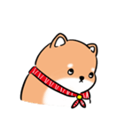 しばまるまる-あかしばのにちじょう（個別スタンプ：22）