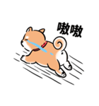 しばまるまる-あかしばのにちじょう（個別スタンプ：24）