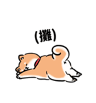 しばまるまる-あかしばのにちじょう（個別スタンプ：32）