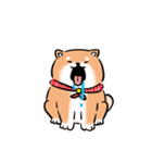 しばまるまる-あかしばのにちじょう（個別スタンプ：37）