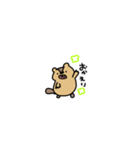 小さい出っ歯（個別スタンプ：22）