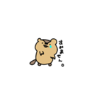 小さい出っ歯（個別スタンプ：37）