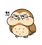 日常で使えるフクロウ達2（個別スタンプ：2）