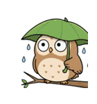 日常で使えるフクロウ達2（個別スタンプ：9）