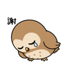 日常で使えるフクロウ達2（個別スタンプ：14）