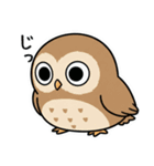 日常で使えるフクロウ達2（個別スタンプ：22）