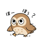 日常で使えるフクロウ達2（個別スタンプ：24）