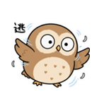 日常で使えるフクロウ達2（個別スタンプ：30）