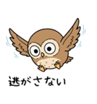 日常で使えるフクロウ達2（個別スタンプ：31）