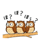 日常で使えるフクロウ達2（個別スタンプ：35）