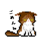 Hikari Life Chスタンプ（個別スタンプ：8）