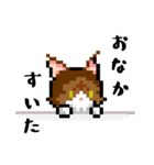Hikari Life Chスタンプ（個別スタンプ：20）