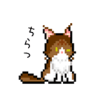 Hikari Life Chスタンプ（個別スタンプ：25）