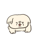 ペキニーズかもしれない（個別スタンプ：1）