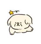 ペキニーズかもしれない（個別スタンプ：5）