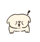 ペキニーズかもしれない（個別スタンプ：7）