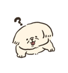 ペキニーズかもしれない（個別スタンプ：8）