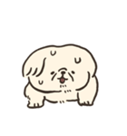 ペキニーズかもしれない（個別スタンプ：13）