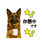 シェパード★毎日使えるパパっと返信♪（個別スタンプ：6）