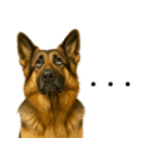 シェパード★毎日使えるパパっと返信♪（個別スタンプ：14）