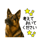 シェパード★毎日使えるパパっと返信♪（個別スタンプ：25）