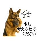 シェパード★毎日使えるパパっと返信♪（個別スタンプ：28）