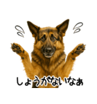 シェパード★毎日使えるパパっと返信♪（個別スタンプ：30）