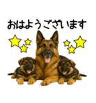 シェパード★毎日使えるパパっと返信♪（個別スタンプ：32）